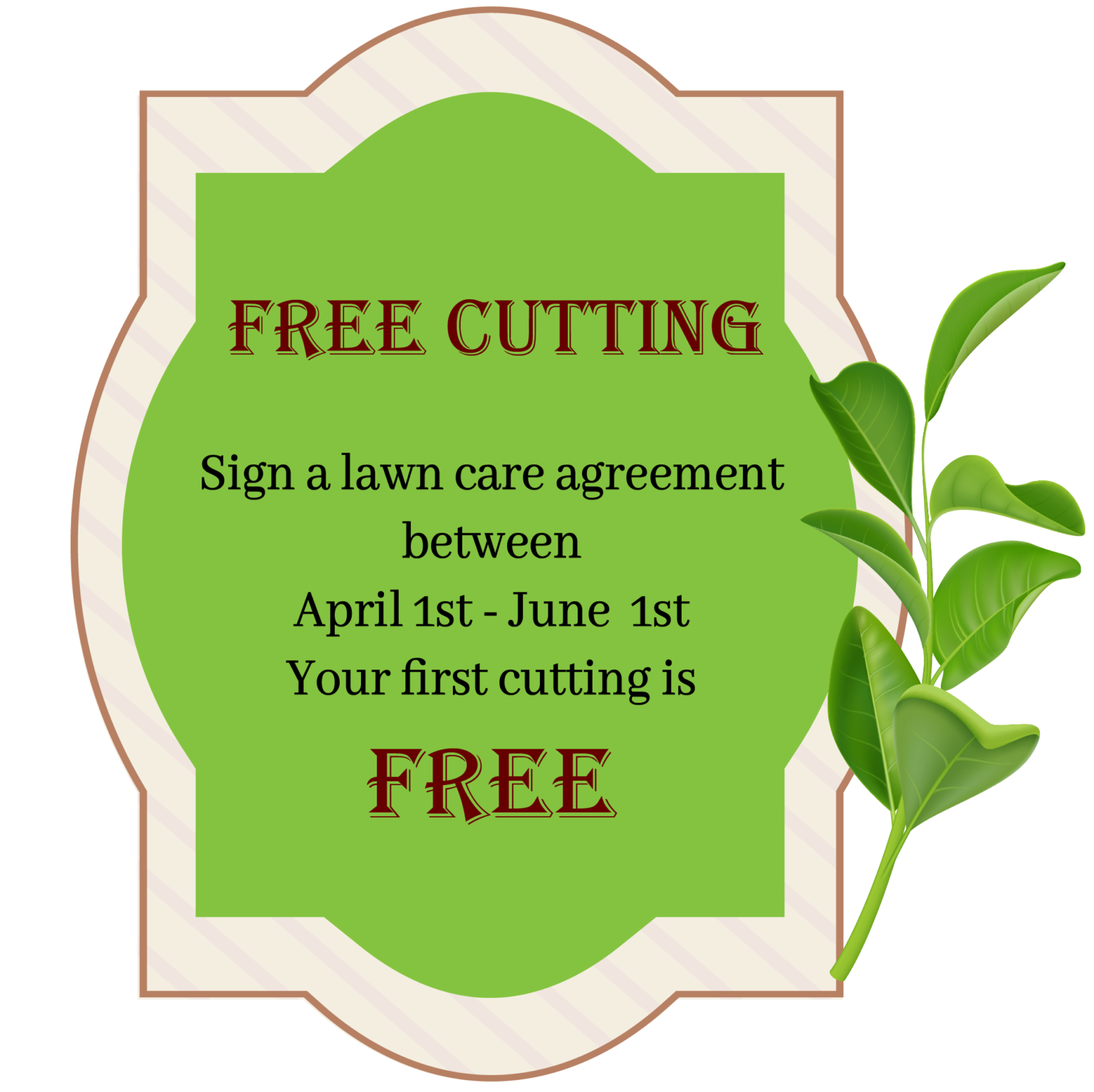 Offer 2